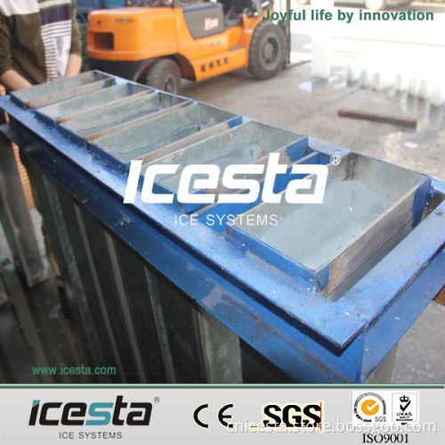 Crystal Block of Ice Plant